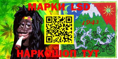 стафф Будённовск