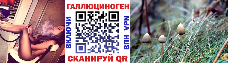 ссылка на мегу зеркало  Воронеж  Галлюциногенные грибы Psilocybine cubensis 