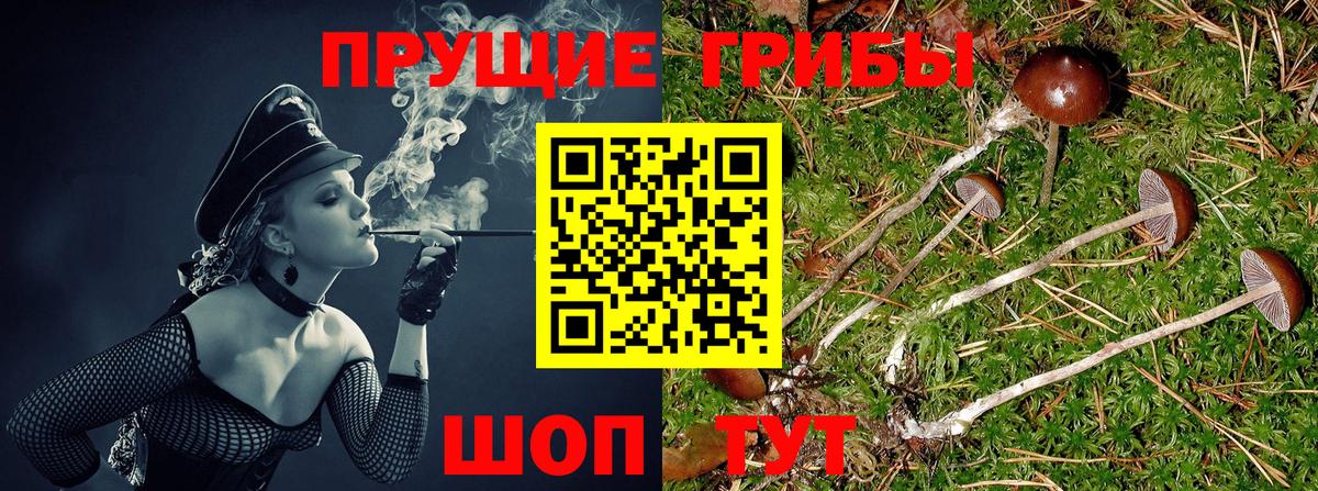 Воронеж  Псилоцибиновые грибы мухоморы  Галлюциногенные грибы мицелий  Вход с VPN 