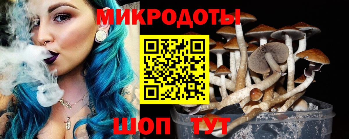 Псилоцибиновые грибы Cubensis Воронеж